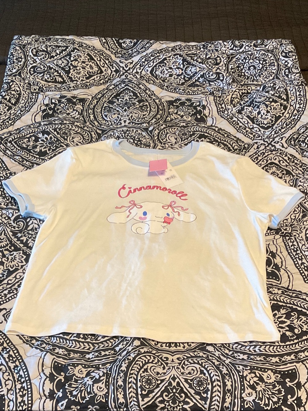 Sanrio Cinnamoroll White Tee with Light Blue Trim